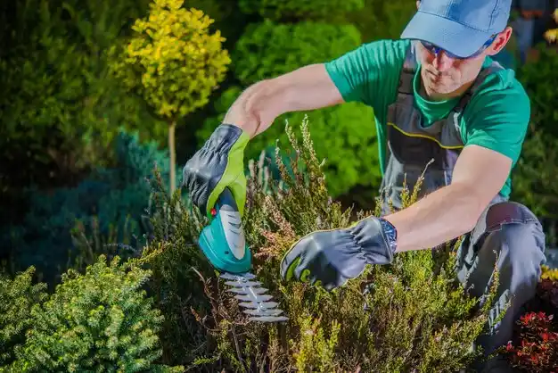 landscaping services Edgard